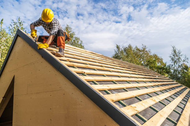 Best Roof Gutter Cleaning  in Lake Mathews, CA