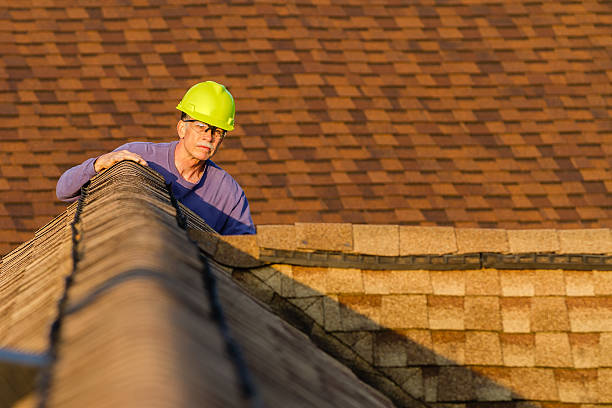 Best Roof Maintenance Services  in Lake Mathews, CA